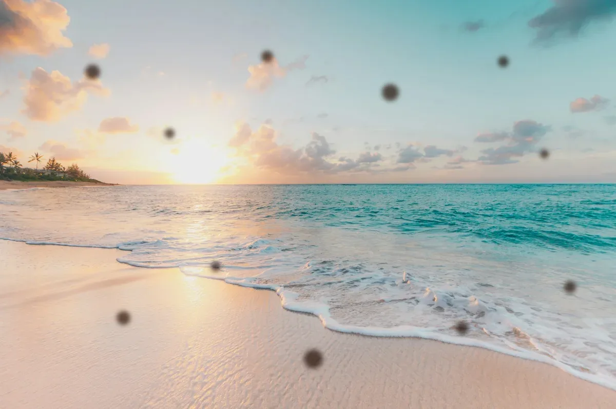 A beach at sunset with dust spots on the photo