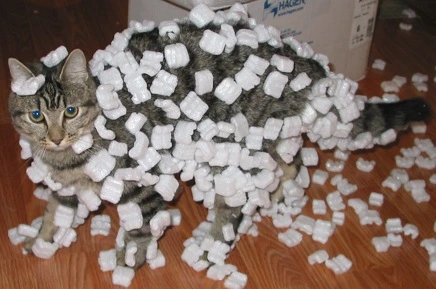 The original: a small 436 by 289 pixel photo of a cat covered in styrofoam peanuts, blown up and blocky